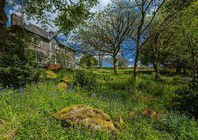 Bed and Breakfast Wydemeet Yelverton Exterior foto